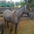 -20918041157BEDCB1D