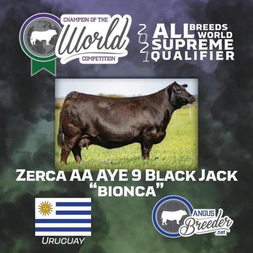 bionica